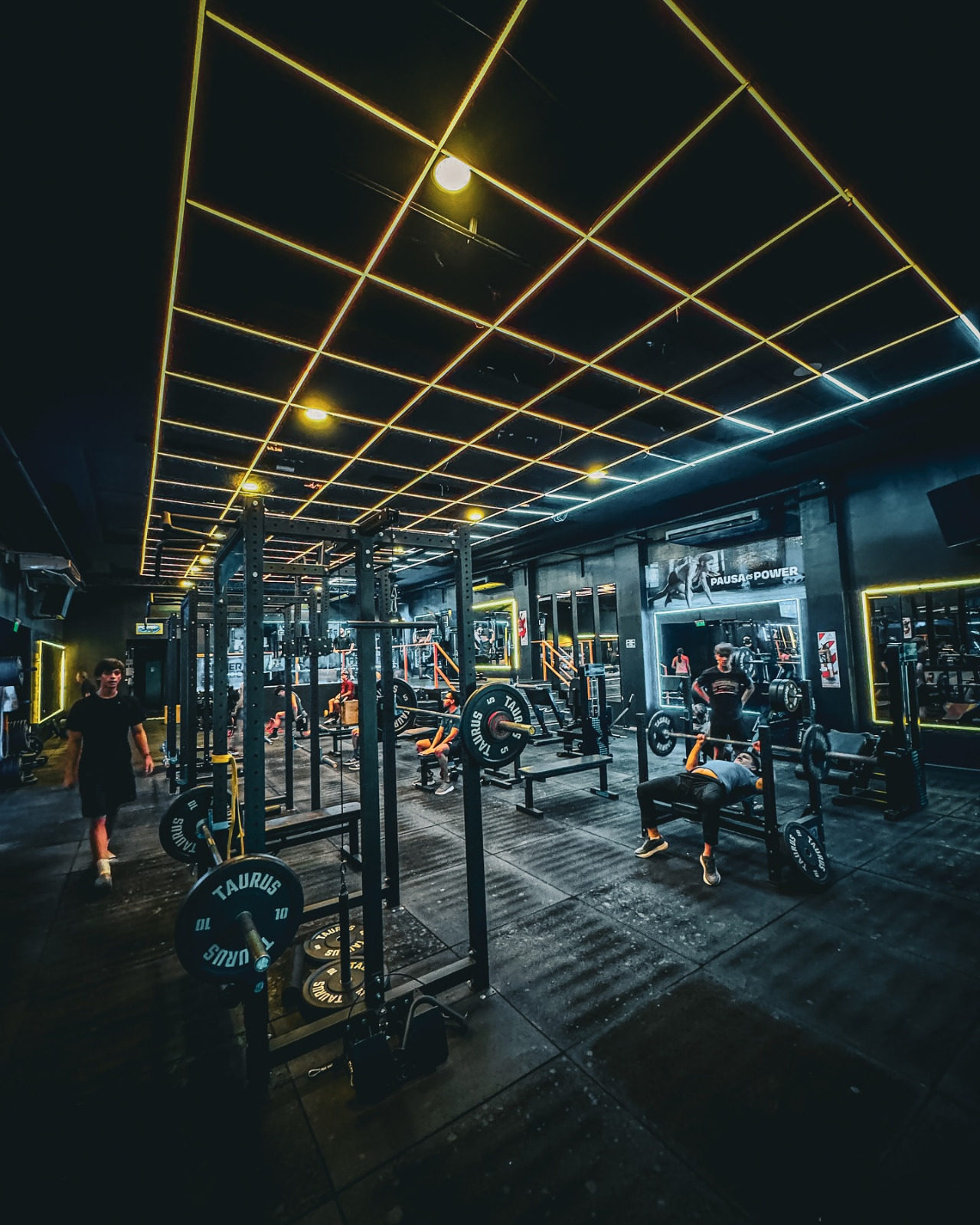 Términos y Condiciones - Gimnasio Magnus